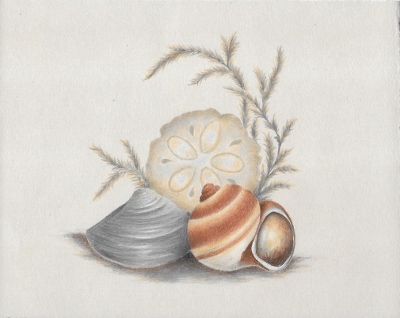 Treasures Of The Sea  E-Packet